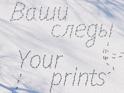 Your Prints On Snowy Ground With Track Patterns And Text 3d model