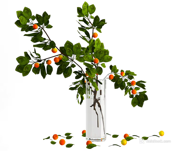 Elegant Transparent Vase With Fresh Branches Green Leaves And Orange Fruits 3d model 