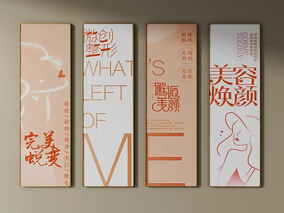 Beauty Rejuvenation Promotion Panels With Female Line Art And Chinese Characters 3d model