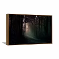 Enchanted Forest Landscape Painting With Tall Trees Sunlight Rays Misty Path And Dark Greenery