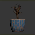 Potted Leafless Tree Plant In Blue Brown Geometric Pattern Pot With Gray Background