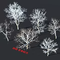 Winter Arbor Trees Featuring Leafless Bare Branches And Natural Silhouette 3d model