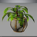 Lush Green Leaf Plant with Brown Straps and Orange Accents in Stone Pot