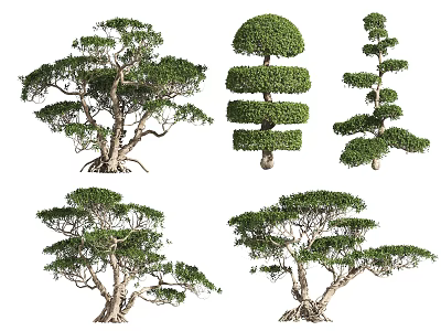 Ornamental Arbor Trees With Various Pruned Shapes And Lush Green Foliage 3d model