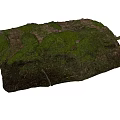 Natural Rock Surface Covered With Lush Green Moss And Earthy Texture