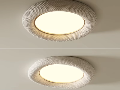 Modern Round Ceiling Light With Textured Design And Soft Warm Illumination 3d model