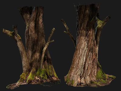 Two Rustic Stone Wood Tree Stumps with Moss Covered Roots and Natural Wooden Texture 3d model