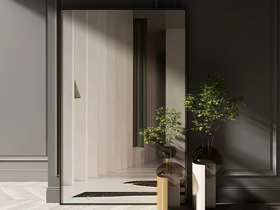 Elegant Modern Entryway Design With Large Mirror Green Plants And Soft Light 3d model