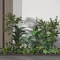 Indoor Garden With Various Green Plants Shrubs Trees Against Light Wall Wooden Panel