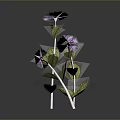 Purple Flowers With Green Leaves And White Stems On Dark Background With Reflection