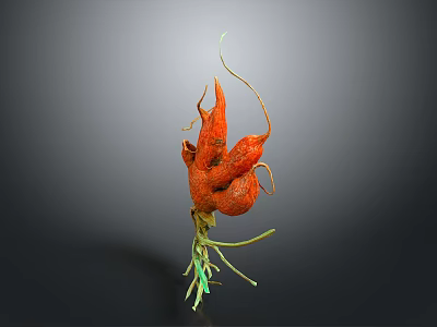 Vibrant Orange Botanical Plant Featuring Curved Structures And Green Stems Leaves 3d model