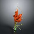 Vibrant Orange Botanical Plant Featuring Curved Structures And Green Stems Leaves
