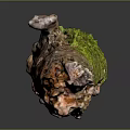 Natural Wood Stone Decorative Piece With Brown Green Texture And Vertical Shape In Dark Background