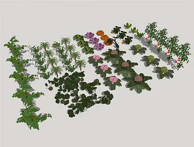 Fresh Various Vegetable Plants with Green Leaves Purple Orange Flowers and Vining Growth 3d model