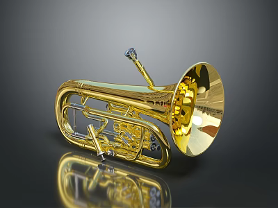 Golden Shiny Tuba With Brass Construction Bell And Valves On Reflective Surface 3d model