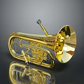 Golden Shiny Tuba With Brass Construction Bell And Valves On Reflective Surface