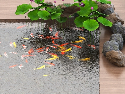 Lotus lotus leaf goldfish light fish koi fish pond stone pool 3d model