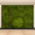 Moss Plant Combination With Green Moss Wall And Decorative Moss Ball