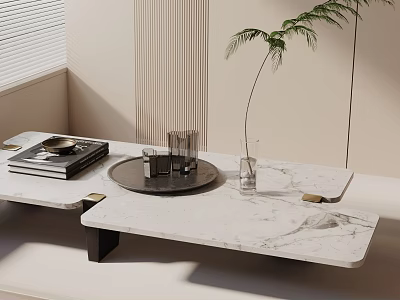 Modern Sofa Coffee Table Set With Marble Top And Decorative Plants Magazines Glasses 3d model
