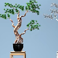 Decorative Bonsai Ornament Set with Green Silver Leaves Brown White Trunks and Pots on Stands