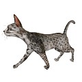 Modern Cat Cat Walking Living Room Decorative Toys 3d model