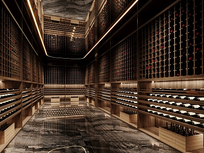 Wine Cellar Wine Cellar Villa Wine Cellar Room Constant-temperature Room Wine Room 3d model