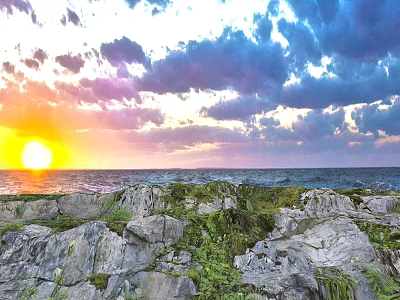 Garden Landscape by Seaside Featuring Sunset Rocks Grass and Cloudy Sky 3d model