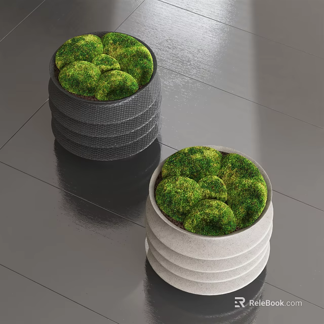 Green Bonsai Potted Plants In Stacked Gray And White Planters For Home Decor 3d model 