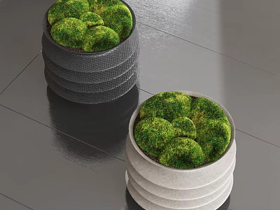 Green Bonsai Potted Plants In Stacked Gray And White Planters For Home Decor 3d model