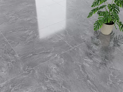 Grey Marble Floor Tiles With Smooth Surface And Potted Green Plant 3d model