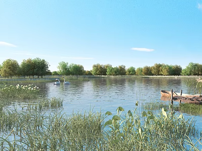 Tranquil Park Landscape With Calm Water Swans Green Trees Reeds And Blue Sky 3d model