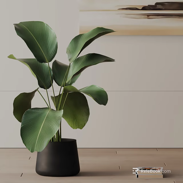 Large Leaves Potted Plant In Black Planter For Indoor Wooden Floor Light Wall Decor 3d model 