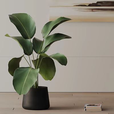 Large Leaves Potted Plant In Black Planter For Indoor Wooden Floor Light Wall Decor 3d model