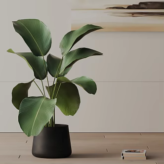 Modern Potted Plant 3d model