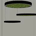 Three Circular Black Frame Pendant Lights With Green Moss And White Lighting 3d model