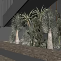 Indoor Landscape Under Staircase With Various Cacti Succulents Stone Steps And Black Railings