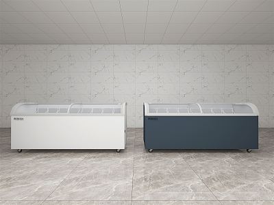 Commercial Freezer Modern Freezer model