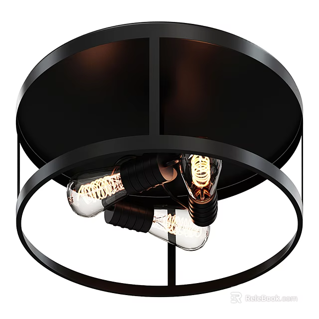 Modern Black Frame Circular Ceiling Light With Exposed Filament Bulbs 3d model 