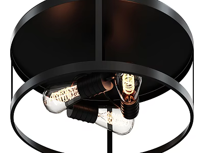Modern Black Frame Circular Ceiling Light With Exposed Filament Bulbs 3d model