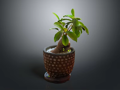 Green Leafy Potted Plant with Bulbous Root in Brown Pot with White Dots 3d model