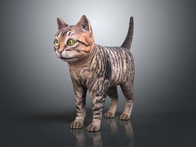 Striped Cat With Green Eyes Standing On Smooth Surface Against Gray Background 3d model