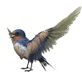 Colorful Bird With Spread Wings Blue Head Red Chest And Brown Feathers