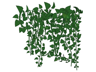 Modern Green Plant Vine Green Plant Wall 3d model