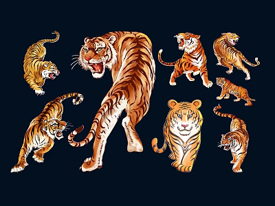 tigers white tigers fierce tigers northeast tigers south china tigers wild tigers 3d model
