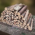 Split Hardwood Tree Logs Stacked as Firewood for Winter Use Preparation