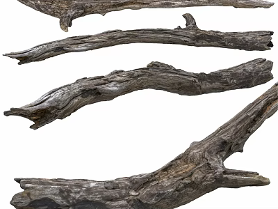 Natural Weathered Driftwood Branches For Rustic Garden Decor And Landscaping 3d model