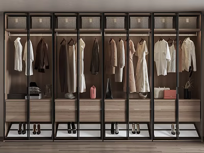 Modern Wardrobe Interior Design With Glass Doors Hanging Clothes Drawers And Shoes 3d model