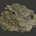 Natural Wood Textured Stone with Rough Surface and Small Tagged Label