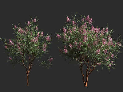 Two Blooming Shrubs With Pink Flowers Green Leaves And Brown Branches 3d model