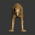 Golden Polygonal Feline Animal Sculpture Standing On Smooth Surface With Reflection